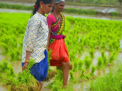 Marathwada Farmers