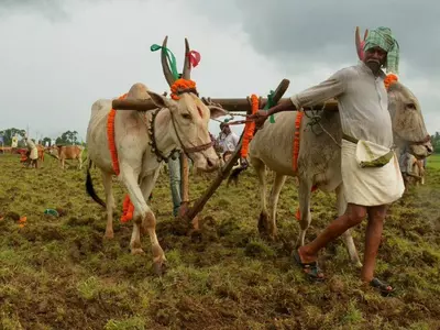 indian farmer and agriculture