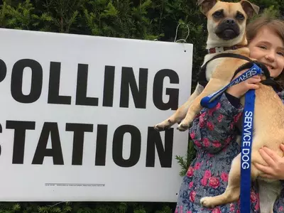 Dogs At Polling Stations Made The UK General Election A Joyful Event & These Pictures Are Proof