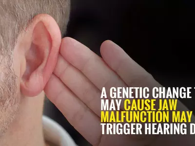 A genetic change that may cause jaw malfunction may also trigger hearing defects