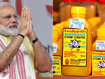 Modi Kurtas and  Cow Urine