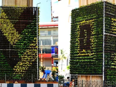 Bengaluru Gets Its 1st Vertical Garden To Curb Pollution With Over 3500 Plants Already Planted