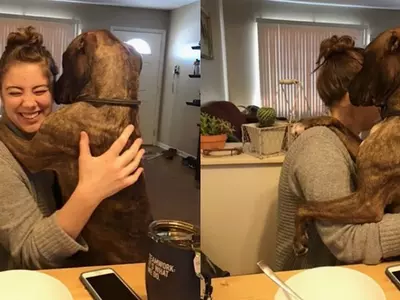 rescued dog hugs mom