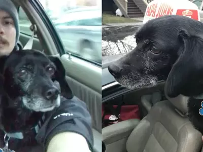 This Pizza Delivery Guy Is Winning Hearts Because He Stopped Midway To Rescue A Lost Dog