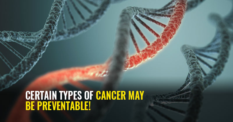 Random Dna Errors Are Responsible For Most Cancers, More Than Your 