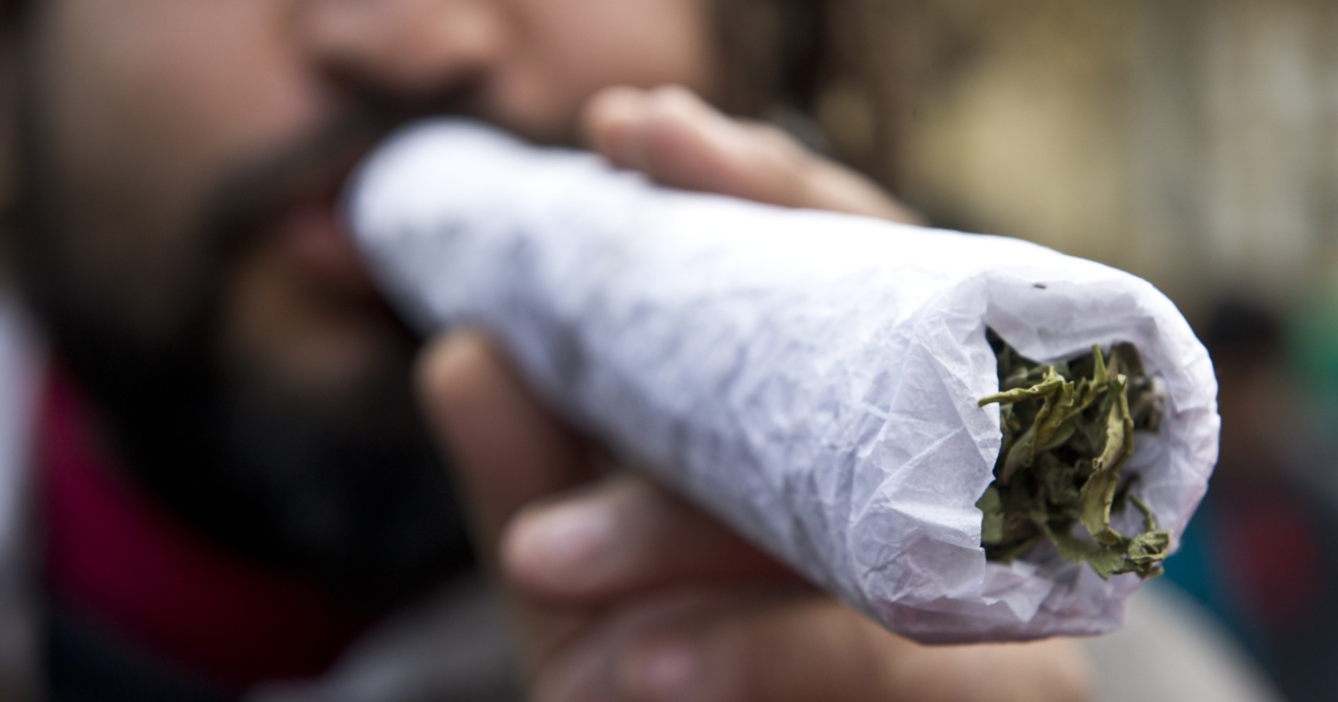 Как выглядит человек курящий траву Peddlers Are Now Selling Himachal's Pure Marijuana On Instagram & Delivering It 