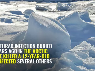 diseases trapped under ice
