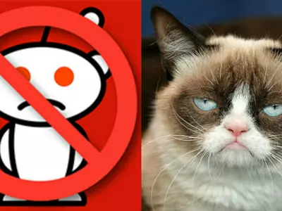 Cat video helps censorship