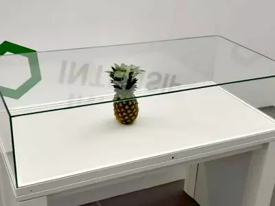 Pineapple at art exhibit