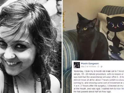 In A Facebook Post Delhi Woman Hits Out Against Friendicoes For Killing Her Cat, Officials Dismiss All Charges