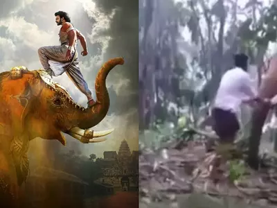 Baahubali Stunt Scene With An Elephant