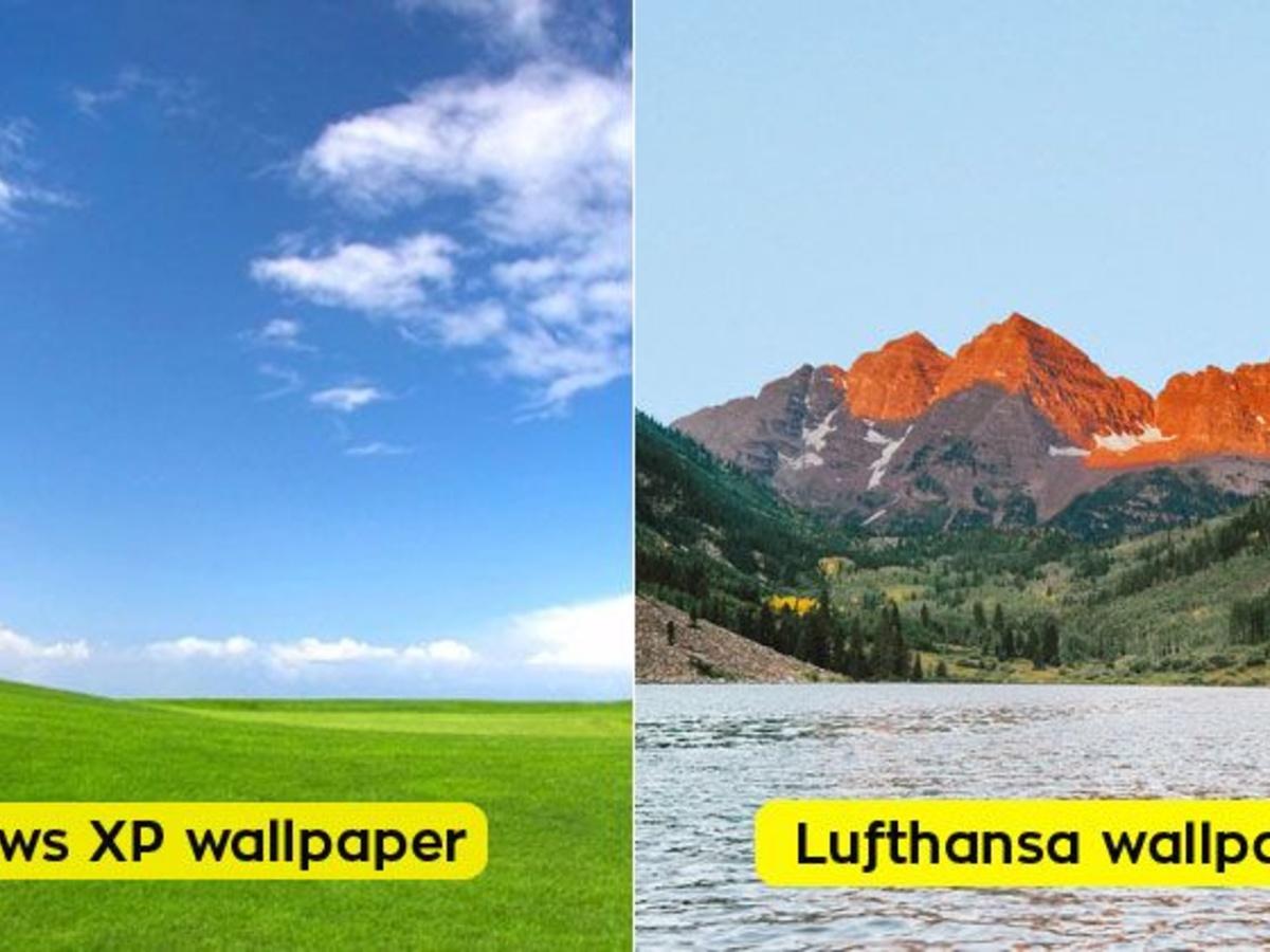 Photographer Who Shot Windows XP Wallpaper, Hired By Lufthansa, Delivers 3 Brand  New Wallpapers