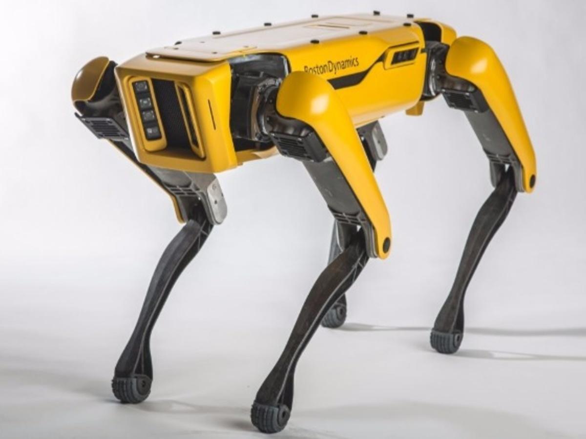 relæ atomar Stereotype This Headless Robot Moves Like A Real Dog, And Is Everything That Fuels  Your Worst Nightmares