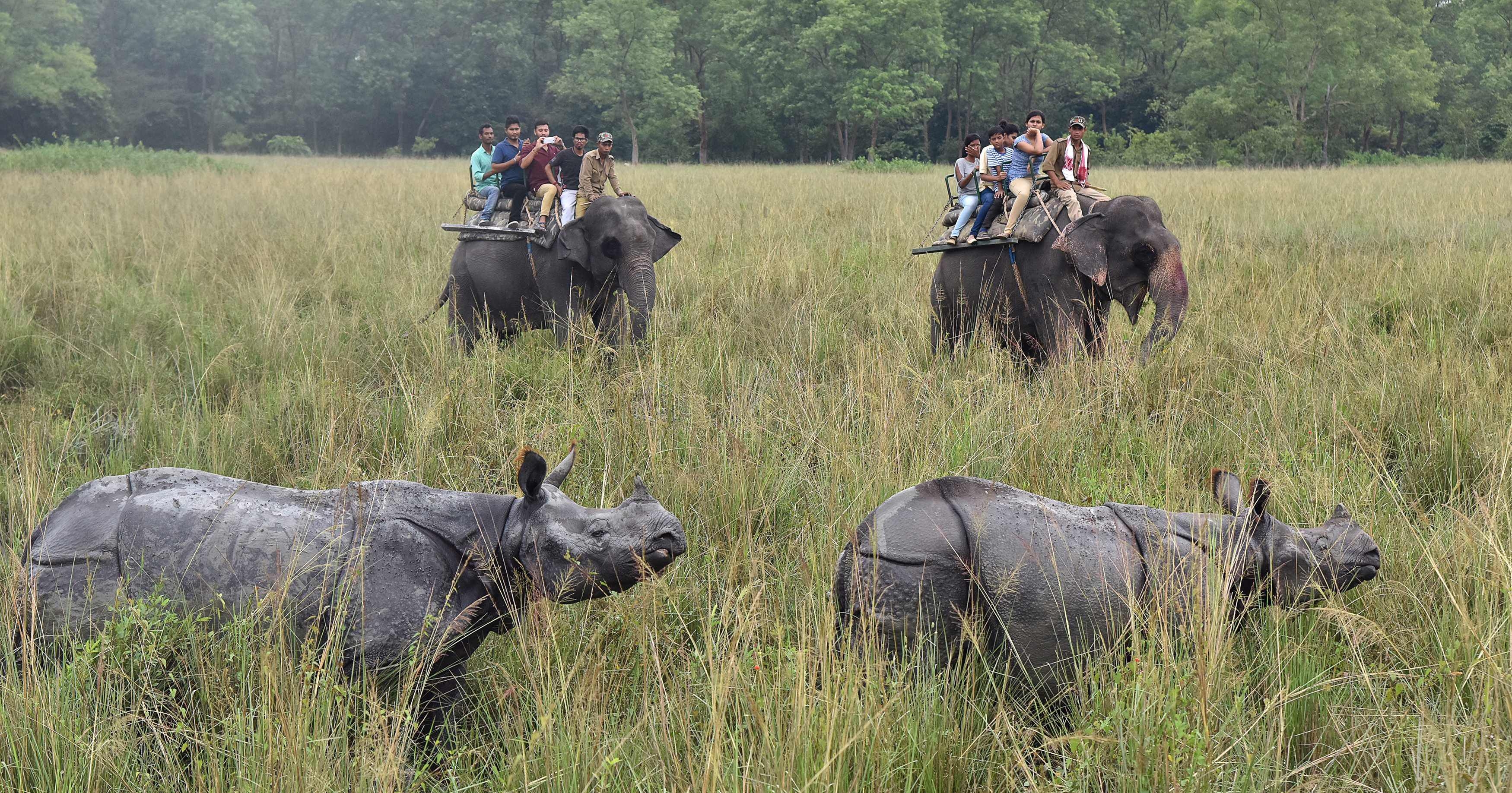 Kaziranga National Park Reopens For Visitors After Four Months Of