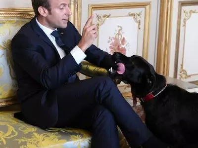 French President's Dog Nemo Takes A Pee During A Meeting
