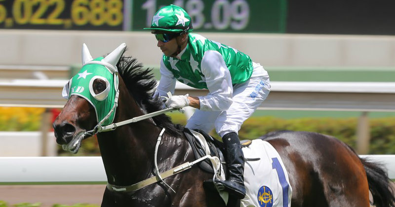 This Horse Named Pakistan Star Gives Up During A Race...Because Pakistan!