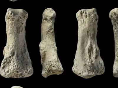 Human Finger Bone Fossil Found In Saudi Desert