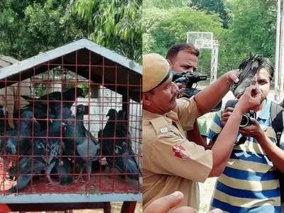 Pigeongram Odisha Police