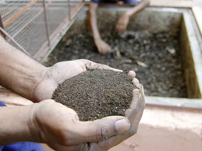 Compost Made From Household Waste May Be Available Online For Sale