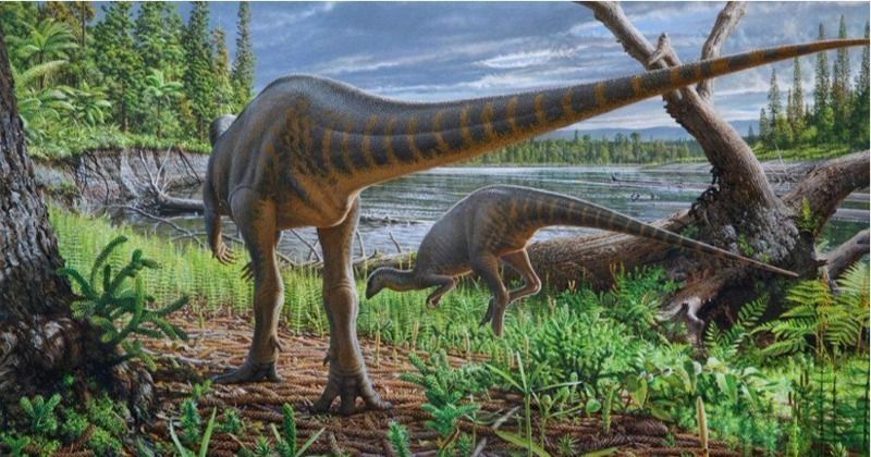 Scientists Believe They've Finally Found What Dinosaur's DNA Looked Like