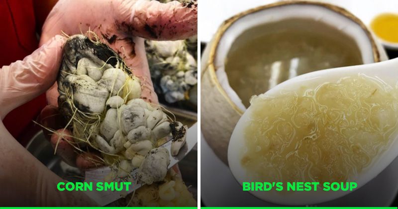 10 Of The Most Disgusting Things People Eat Around The World