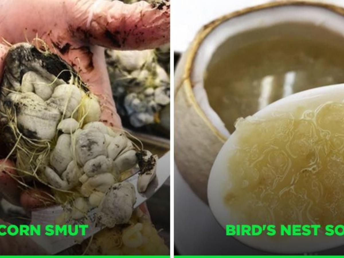 most disgusting things found in food