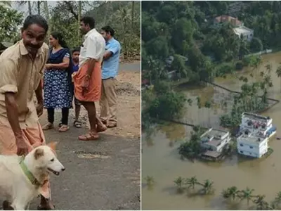 India, Dog, Kerala, Family, People, Floods, Landslides, Suffering