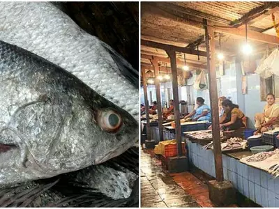 India, People, Fisherman, Fishermen, Women, Male, Mumbai, Fishes,