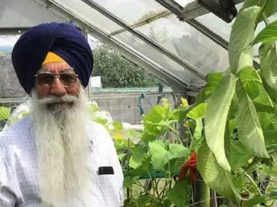 India, Sikh, Indian, UK, Cucumber, Vegetable, People, World Record