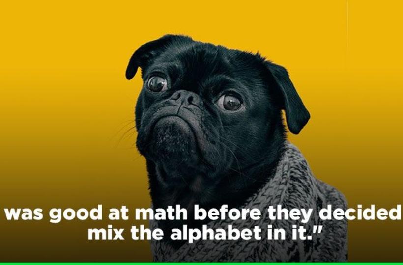 13 Funny Quotes From People Plagued By Math Problems