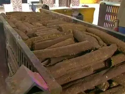 Moving To Eco-Friendly Funerals, Raipur To Provide Logs Made Cow Dung For Cremation