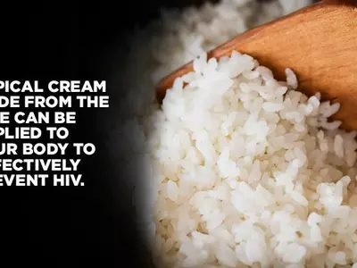 Scientists Have Found A Way To Use Genetically Modified Rice To Prevent HIV