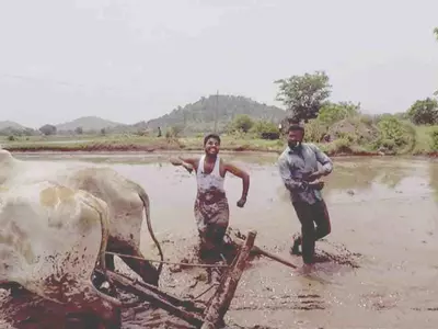 Two Indian Farmers Have Won The Kiki Challenge