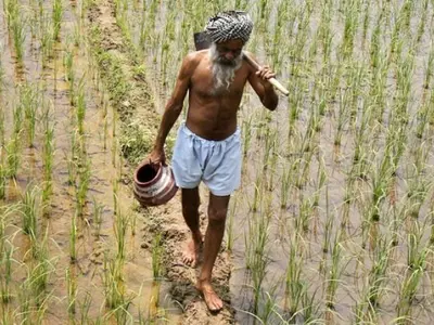 After Madhya Pradesh And Chhattisgarh, Rajasthan Waives Farmer Loans Up To Rs 2 Lakh