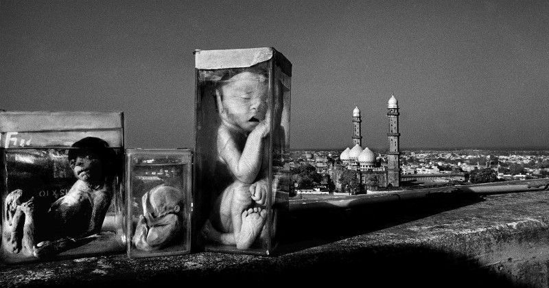 Bhopal Gas Tragedy Veteran Journalist Raghu Rai Describes How Corporate Crime Looked Like 34 Years Ago Raghu rai was born in 1942 in jhhang, now part of pakistan. bhopal gas tragedy veteran journalist