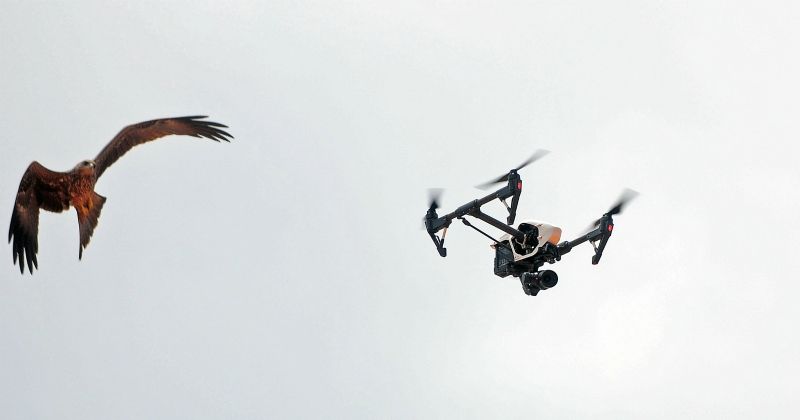 From Today You Can Fly Drones Legally, Here Is What You ...