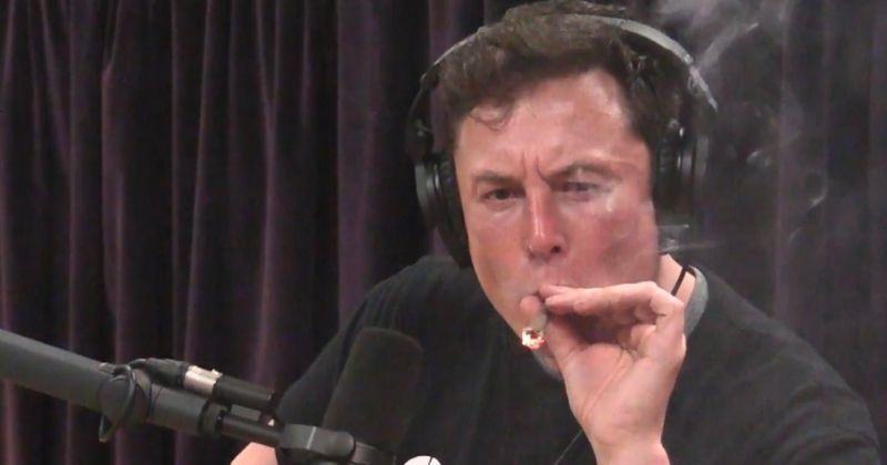 'Have No Idea How To Smoke Pot,' Elon Musk Admits In New Interview &amp; There You Have It