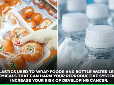 Is Using Plastic To Store Food Dangerous For Your Health And Well-Being?