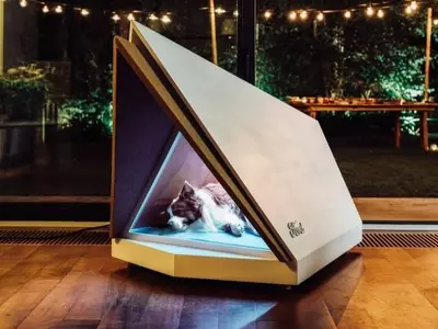 noise-cancelling dog kennel