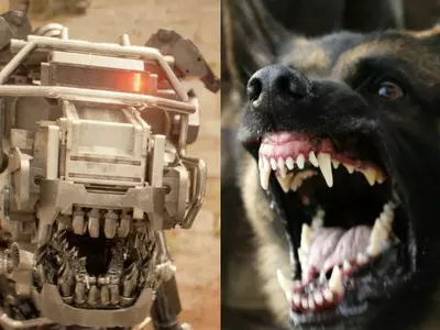 robot canine dogs cisf airport security india