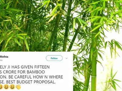 Arun Jaitley Allocates Rs 1200 Crore To Promote Bamboo Cultivation