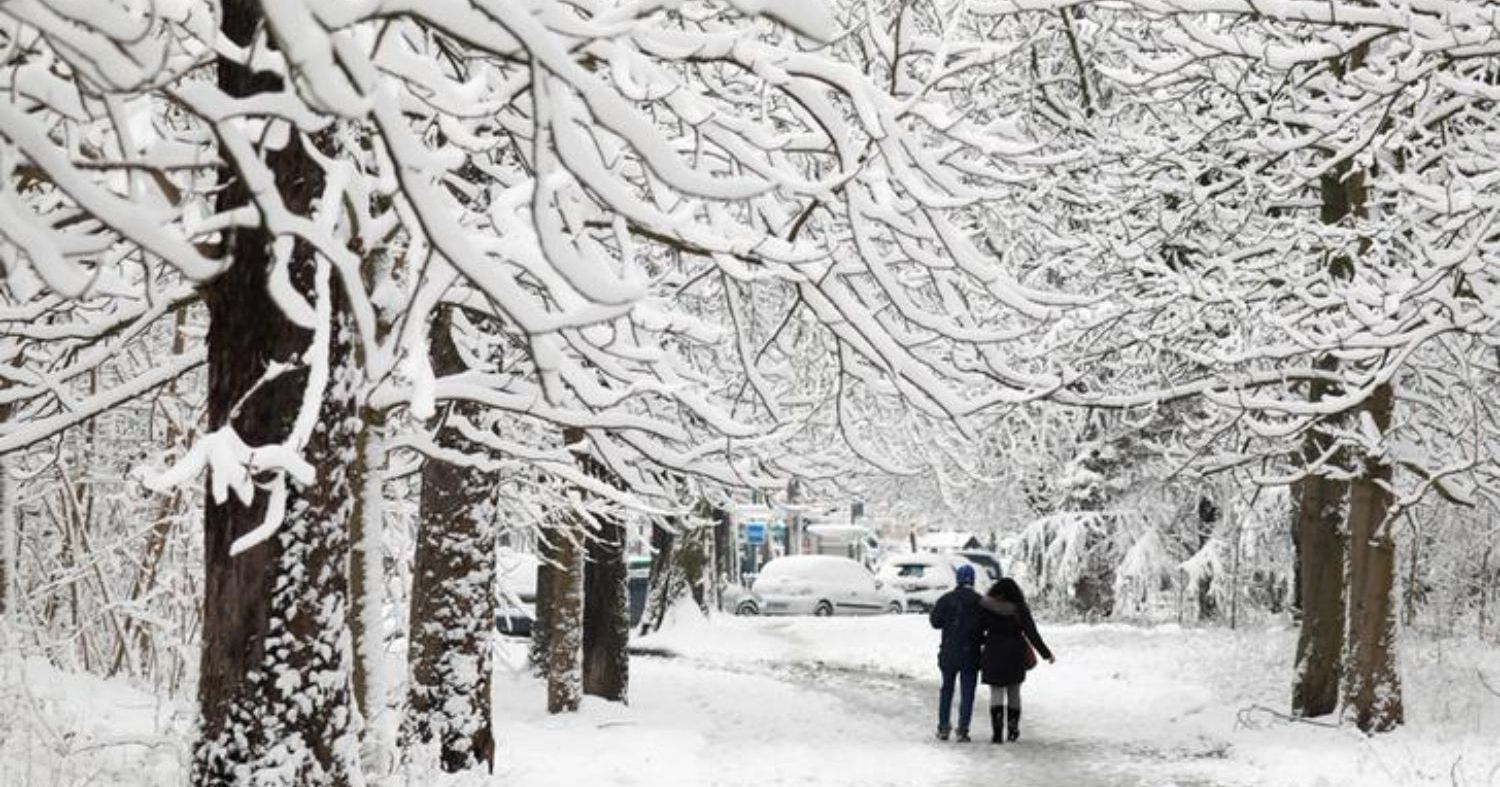 Paris Welcomed Its Biggest Snowfall Yet And The Photos Will Give You ...