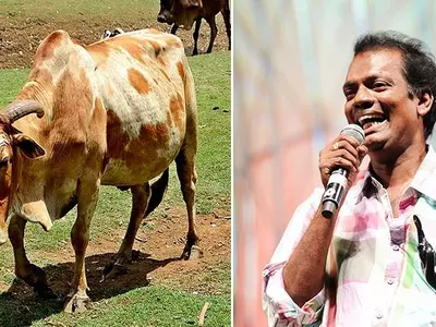 Asked To Remove Scene Featuring Cow In New Movie