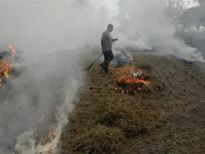 Rs 1,000 Crore Plan To Curb Stubble Burning Air Pollution In NCR