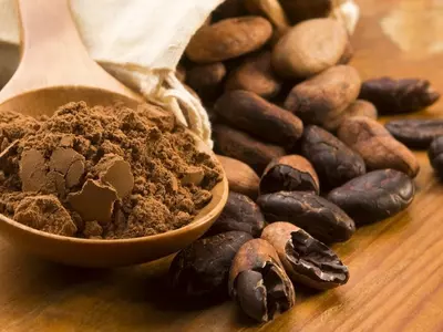 7 Modern Day Ailments That The Delicious Superfood Cocoa Can Help You Fight