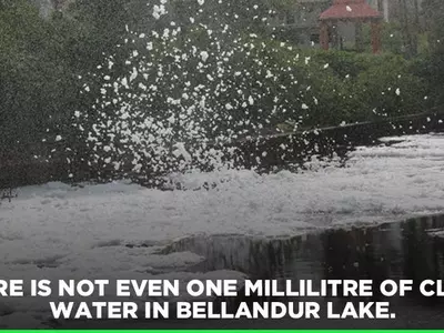 Bellandur Lake Bengaluru