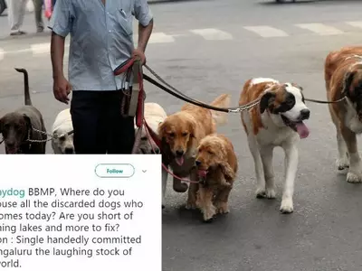 Bengaluru Residents Can Have Only One Dog Per Flat And People Are Livid With BBMP