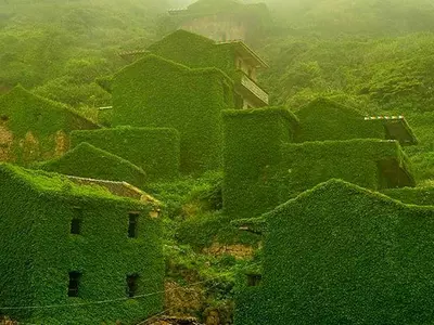 Humans Left This Chinese Village Decade And Nature Took Over. This Is How It Looks Now