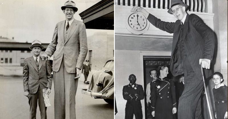 10 Amazing Facts About Robert Wadlow, The World's Tallest Man That You ...