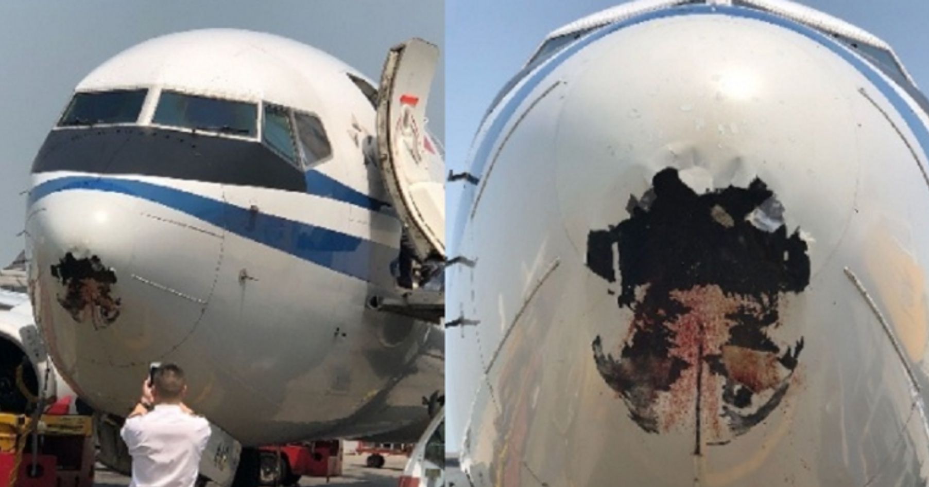 Bird Collides With Air China Flight, Punches A Hole Right Through The ...